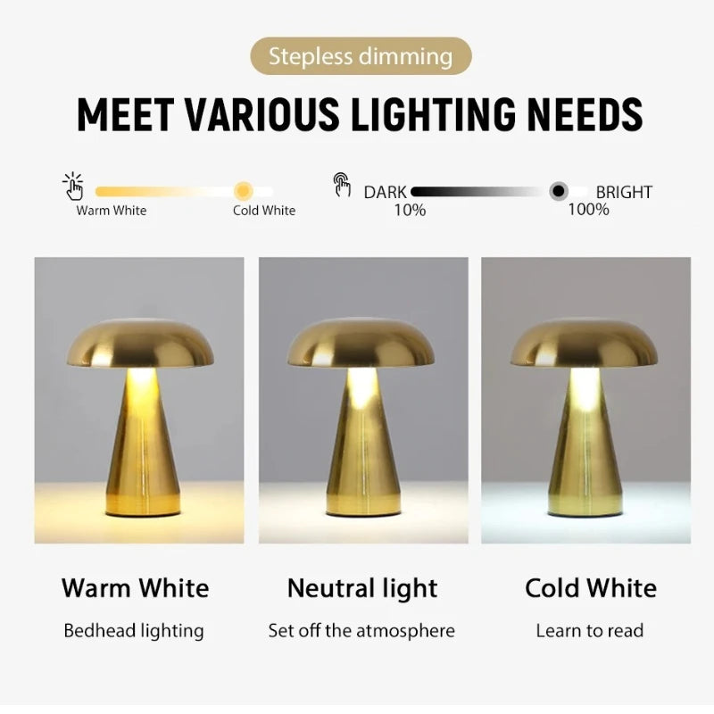 Luma Modern Accent Light