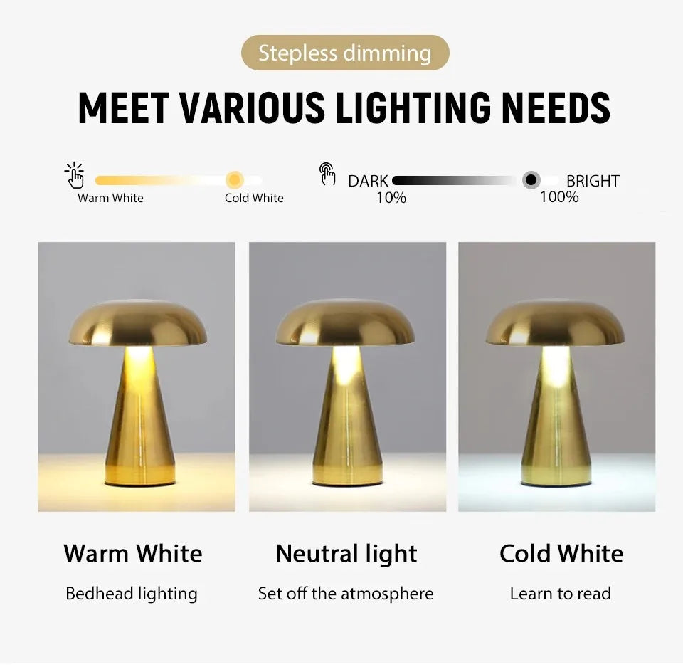 Luma Modern Accent Light